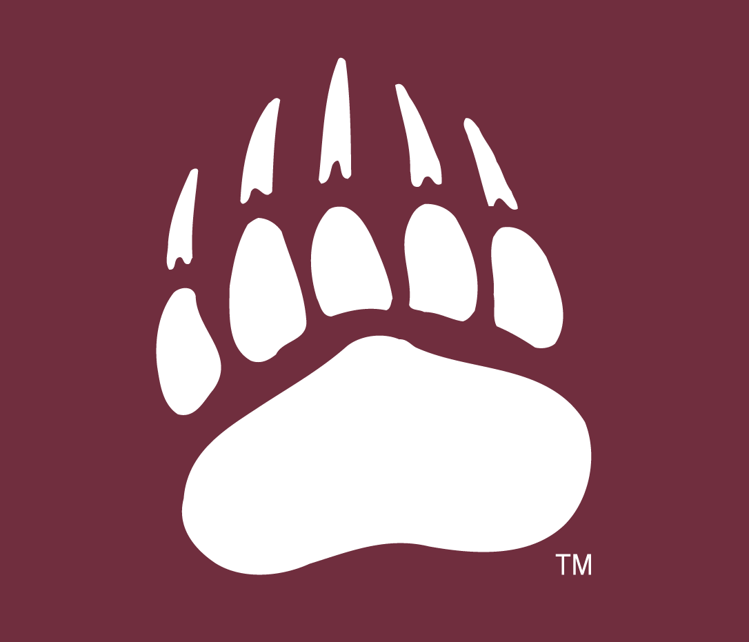 Montana Grizzlies 1996-Pres Alternate Logo v4 diy iron on heat transfer